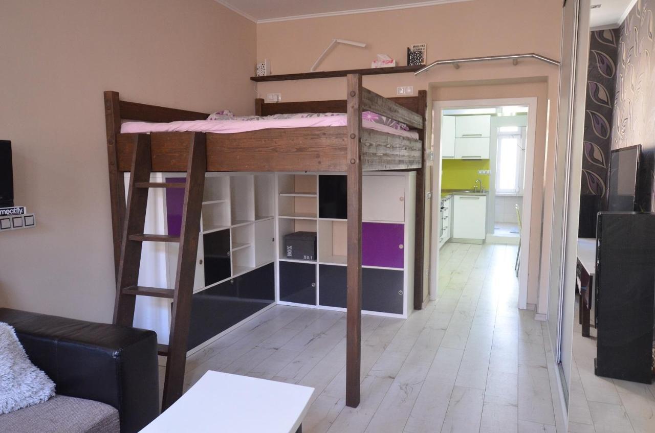 Apartmany Jizdarenska Карлові Вари Екстер'єр фото